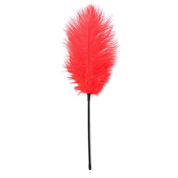 Fouet à plumes rouge